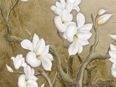 舍得花很多錢在寵物身上的星座