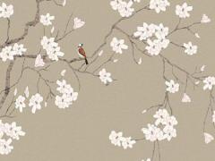 八字日主弱什么調理 八字日主弱就是命差嗎