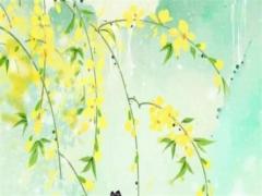 屬兔本命年穿搭女