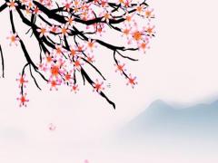 四柱八字算命是什么 四柱八字算命是什么生肖