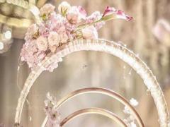 凡事不求有功,但求無過的星座排行