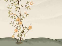 八字蝴蝶格什么 八字型和蝴蝶型的區別