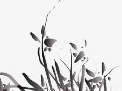 八字中殺劫傷什么意思 殺劫是什么