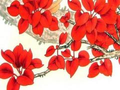 屬龍女下半年的婚姻 屬龍女下半年財運