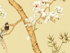 屬龍2023運(yùn)勢(shì)麥玲玲,屬龍人2023年運(yùn)勢(shì)麥玲玲