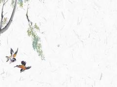 什么八字的人不愛吃肉 什么樣的八字愛吃肉