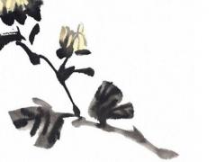 77年男屬蛇的晚年婚姻,77年生肖蛇男未來婚姻