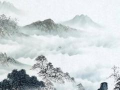 1999卯時出生的屬兔男,99年兔卯時出生命怎樣