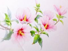 傷感失戀的網(wǎng)名撕心裂肺