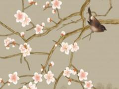 運勢測算2023年屬鼠