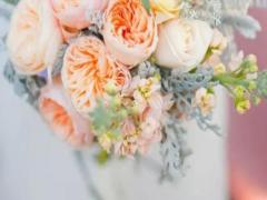 哪怕被區(qū)別對(duì)待 對(duì)父母也沒有怨恨的星座