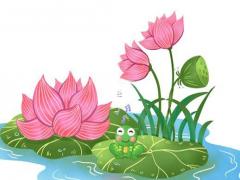 1962年6月22是什么生辰八字 1962年6月22日出生人的命運