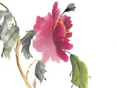 2023屬蛇女全年每月運勢