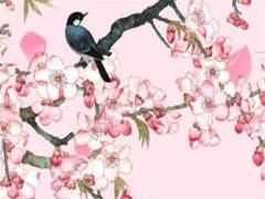 77年屬蛇男幸運色 77年屬蛇男幸運數字