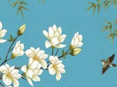 什么樣的生辰八字算好 什么是生辰八字最好舉個(gè)例子看看