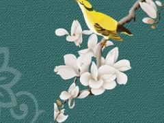 家里怎樣養(yǎng)好發(fā)財(cái)樹 家里如何養(yǎng)好發(fā)財(cái)樹