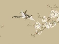 八字卯和什么合 卯與卯婚配