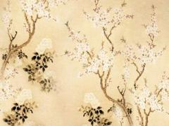 2023年屬虎的全年運(yùn)勢1998出生,2023年屬虎的全年運(yùn)勢1998出生