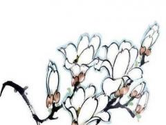 65歲屬蛇人的婚姻,65屬蛇女的晚年生活會怎么樣