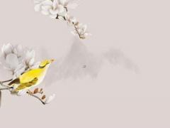 八字懸尖是什么意思 八字懸針