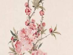 八字四月土是什么土 生于農歷四月的土命人