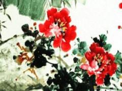 93年屬雞人2023年運(yùn)勢(shì),93年屬雞人2023年運(yùn)勢(shì)女