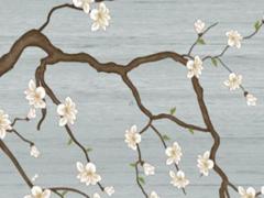 屬豬的年齡表大全,屬豬的的年齡表