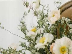 聽過無數道理，依舊很是失敗的星座