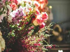 簡單自在的星座