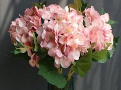 tongxinglian星座配對