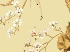 1996屬鼠女和1993鼠男的婚姻 1996屬鼠女生的婚姻