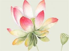 屬虎辦公桌擺放風(fēng)水方位 屬虎的人辦公桌朝向