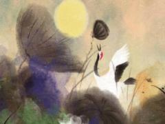 屬牛的2023年幸運顏色