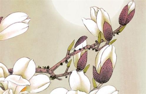 測八字看什么書 測八字看什么書好 測八字看什么書 測八字看什么書好