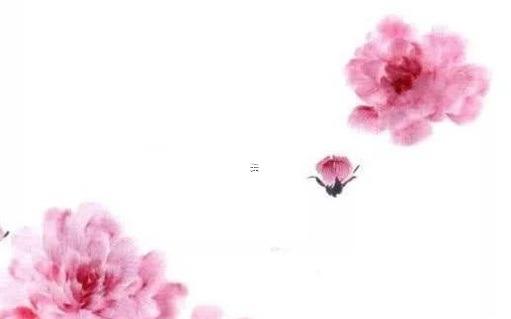 屬兔找屬啥的對象好,屬兔的找什么樣的對象婚配 屬兔找屬啥的對象好,屬兔的找什么樣的對象婚配