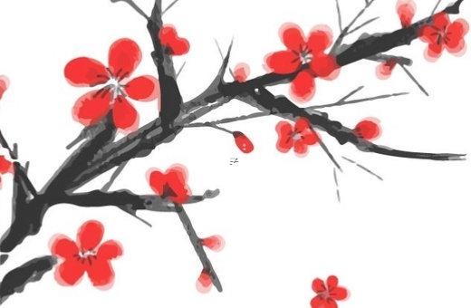 什么叫八字硬 什么叫八字硬不硬