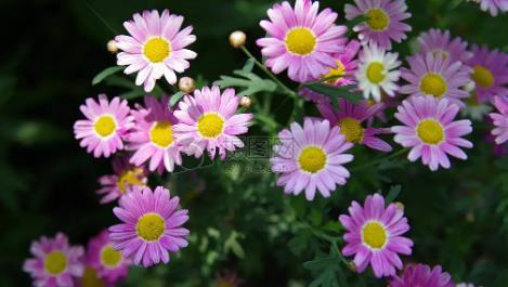 夢見流鼻涕是什么意思