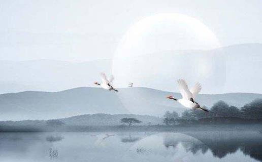 安的五行屬性是什么 安的五行屬性是什么屬性