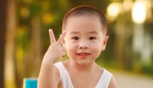 夢(mèng)見一大群貓崽 做夢(mèng)夢(mèng)到一群貓崽子
