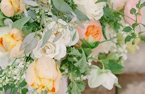 盤點(diǎn)火象星座誰最聰明? 盤點(diǎn)火象星座誰最聰明?