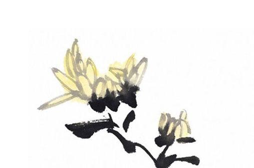 兔本命年什么屬相的人送我禮物好,兔本命年戴什么轉運