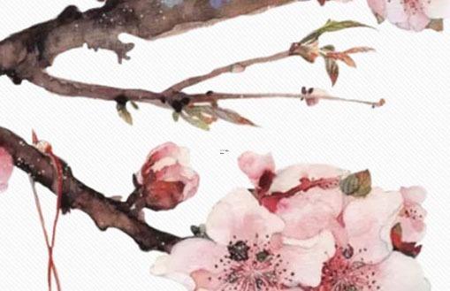 電影好聽的名字 電影好聽的名字