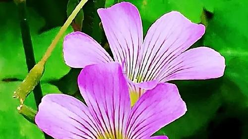 夢見別人受傷流血是什么預(yù)兆 什么寓意 夢見別人受傷流血是什么預(yù)兆 什么寓意