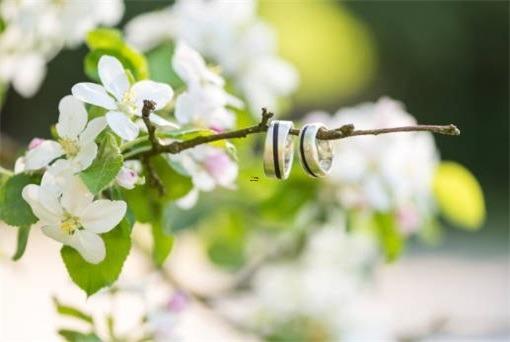 白羊座遇好友請客都想吃啥