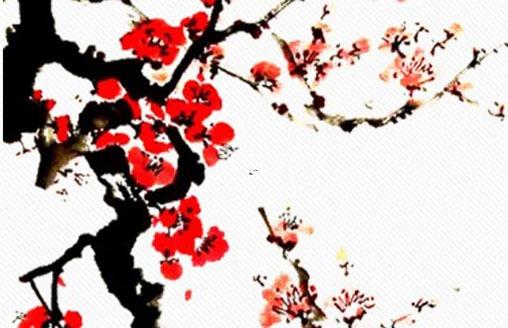 土象星座怎么樣 土象星座怎么樣