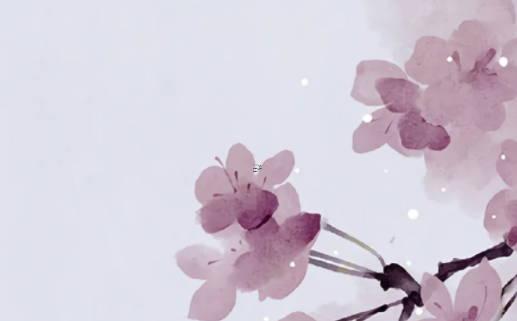 什么八字命最硬 什么八字命硬死不了