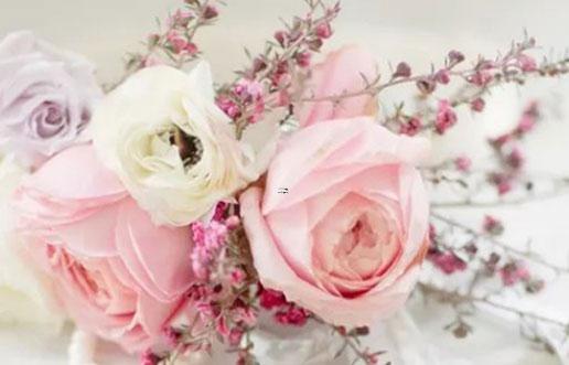 天蝎座在本命年會倒哪種霉 天蝎座在本命年會倒哪種霉