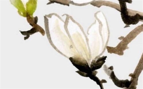 女人***了其實(shí)就是不愛了 一個(gè)女人身體***了是不是證明她不愛她老公了? 女人***了其實(shí)就是不愛了 一個(gè)女人身體***了是不是證明她不愛她老公了?