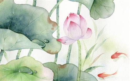 算八字說懶命是什么意思 懶命好嗎 算八字說懶命是什么意思 懶命好嗎