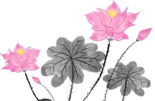 八字頭上一點紅是什么生肖 八字頭上一點紅是什么生肖動物